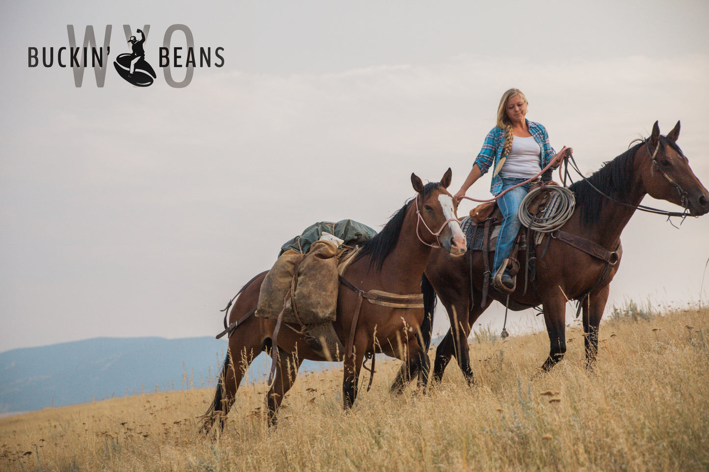 Cowgirl Blonde (Light Roast) - WYO Buckin' Beans 